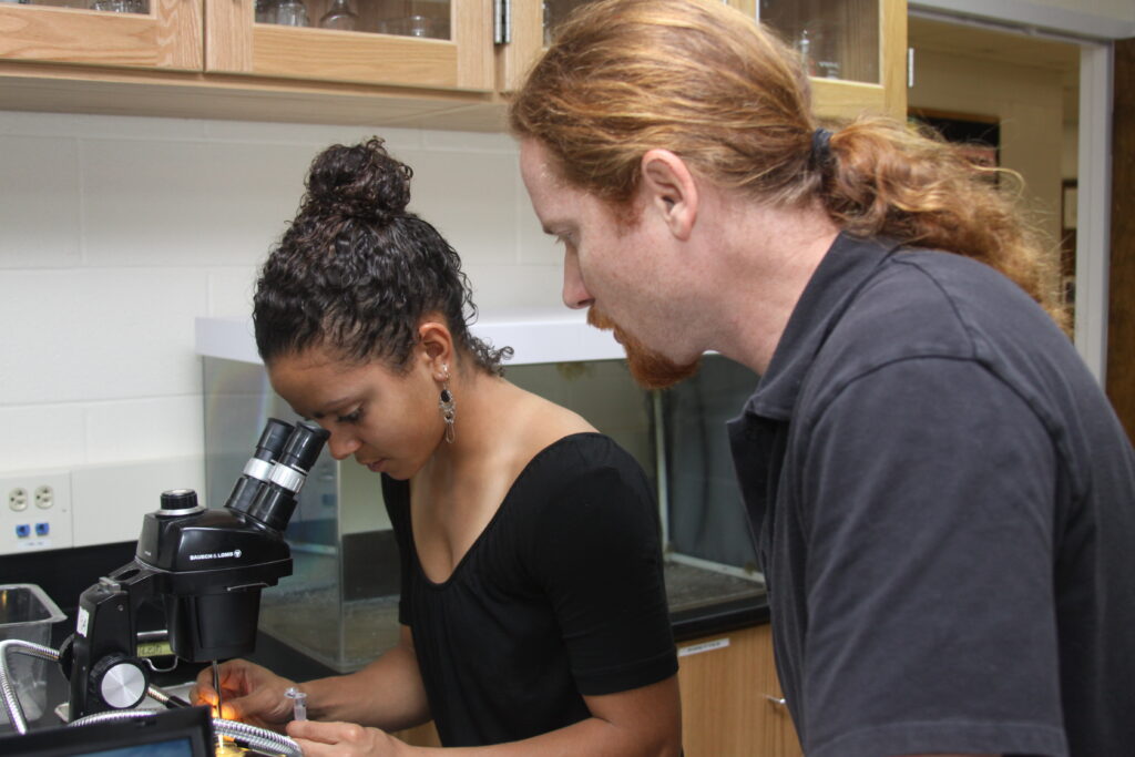 Dr. James Newcomb, Professor of Biology and Health Science and Co-Director of the Center for Undergraduate Science Research at New England College, works alongside a student in the College’s Summer Undergraduate Research Program.